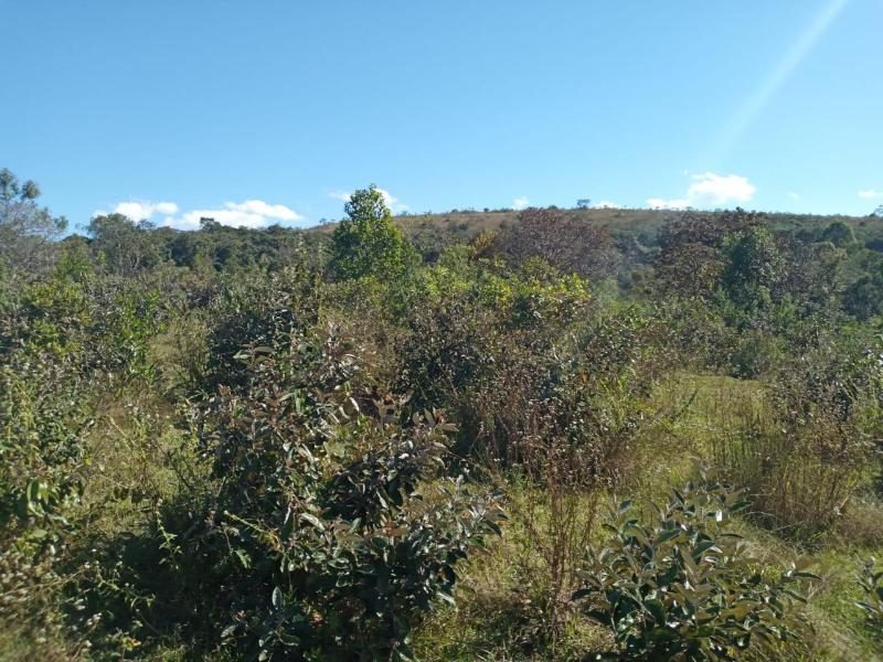 Excelente Terreno De Campo