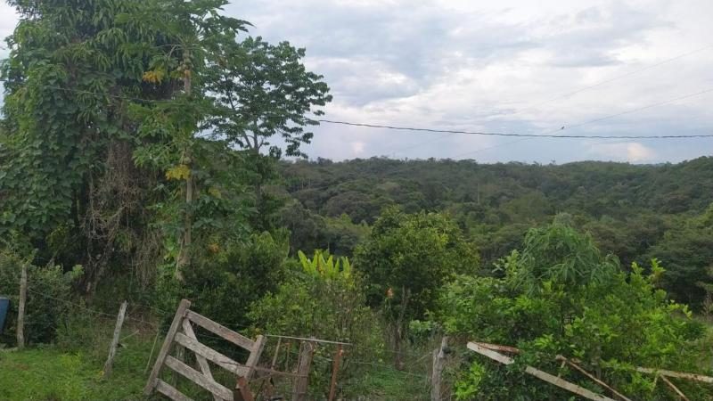 Foto 15