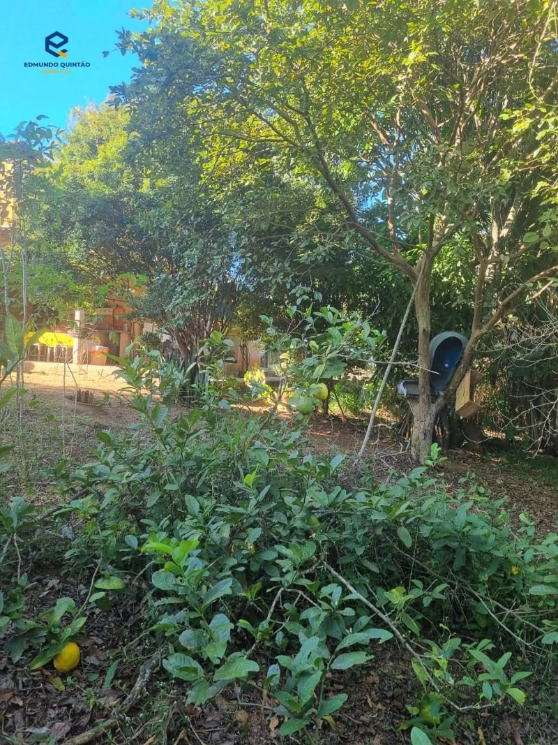 Foto 21